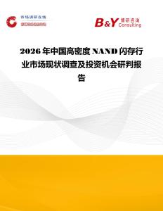 2026年中國高密度NAND閃存行業市場現狀調查及投資機會研判報告