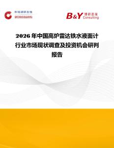 2026年中國高爐雷達鐵水液面計行業市場現狀調查及投資機會研判報告