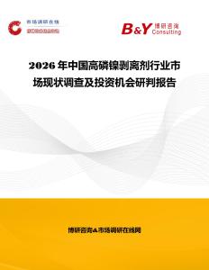 2026年中国高磷镍剥离剂行业市场现状调查及投资机会研判报告