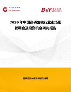 2026年中国高磷生铁行业市场现状调查及投资机会研判报告