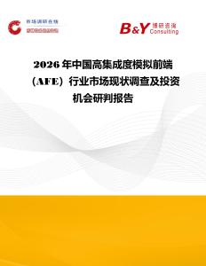 2026年中國高集成度模擬前端（AFE）行業(yè)市場現(xiàn)狀調(diào)查及投資機(jī)會研判報告