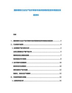 國際鋼鐵行業(yè)生產(chǎn)技術(shù)革新市場供需調(diào)研投資布局規(guī)劃深度資料
