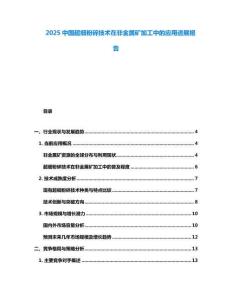 2025中國(guó)超細(xì)粉碎技術(shù)在非金屬礦加工中的應(yīng)用進(jìn)展報(bào)告