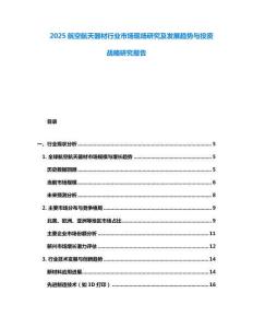 2025航空航天器材行業(yè)市場現(xiàn)場研究及發(fā)展趨勢與投資戰(zhàn)略研究報告