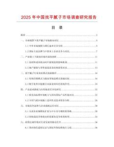 2025年中國找平膩子市場調查研究報告