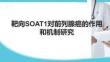 靶向SOAT1對前列腺癌的作用和機制研究