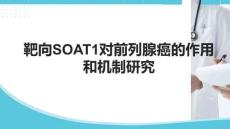 靶向SOAT1對(duì)前列腺癌的作用和機(jī)制研究