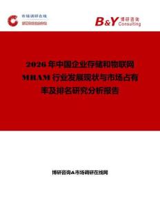 2026年中国企业存储和物联网MRAM行业发展现状与市场占有率及排名研究分析报告
