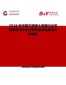 2026年中国不锈钢大直柄行业发展现状与市场占有率及排名研究分析报告