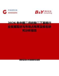 2026年中國二月硅酸二丁基錫行業發展現狀與市場占有率及排名研究分析報告