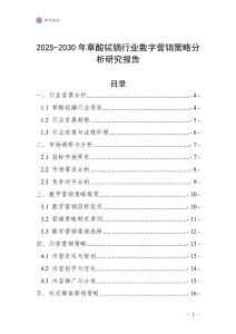 2025-2030年草酸鋱鏑行業數字營銷策略分析研究報告