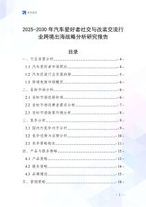 2025-2030年汽車愛好者社交與改裝交流行業跨境出海戰略分析研究報告