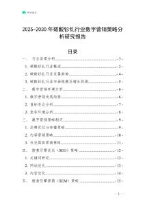 2025-2030年碳酸釤釓行業數字營銷策略分析研究報告