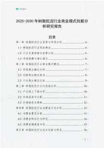 2025-2030年樹脂膠泥行業(yè)商業(yè)模式創(chuàng)新分析研究報(bào)告
