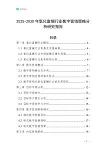 2025-2030年氧化富鑭行業數字營銷策略分析研究報告