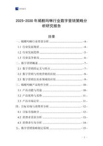 2025-2030年烯酰嗎啉行業數字營銷策略分析研究報告