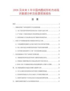 2026及未來5年中國肉圓成形機市場現狀數據分析及前景預測報告