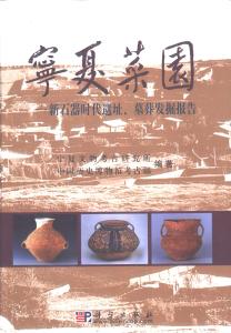 寧夏菜園 新石器時代遺址、墓葬發掘報告