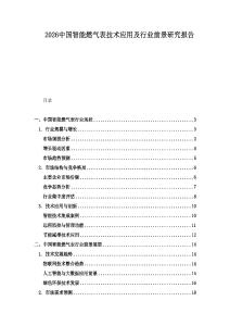 2026中國智能燃?xì)獗砑夹g(shù)應(yīng)用及行業(yè)前景研究報告