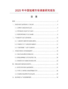 2025年中国短裙市场调查研究报告