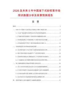 2026及未來5年中國液下式砂漿泵市場現狀數據分析及前景預測報告