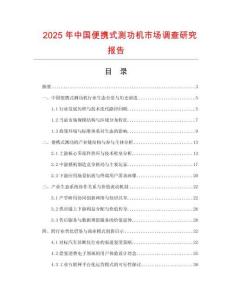 2025年中國(guó)便攜式測(cè)功機(jī)市場(chǎng)調(diào)查研究報(bào)告