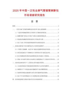 2025年中國一次性全麻氣管插管麻醉包市場調查研究報告