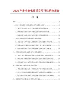 2026年多功能電鉆項目可行性研究報告