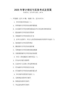 2025年審計理論與實務考試及答案