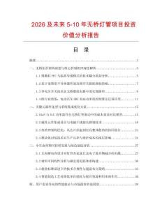 2026及未來5-10年無橋燈管項目投資價值分析報告