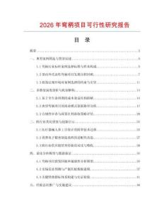 2026年彎柄項(xiàng)目可行性研究報(bào)告