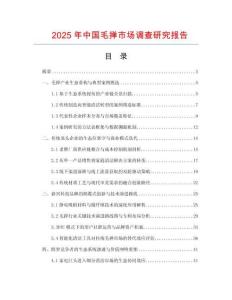 2025年中国毛掸市场调查研究报告