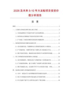 2026及未來5-10年大龍船項目投資價值分析報告
