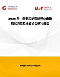 2026年中國銅芯護套線行業市場現狀調查及投資機會研判報告