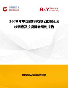 2026年中國(guó)鍍鋅軟鋼行業(yè)市場(chǎng)現(xiàn)狀調(diào)查及投資機(jī)會(huì)研判報(bào)告