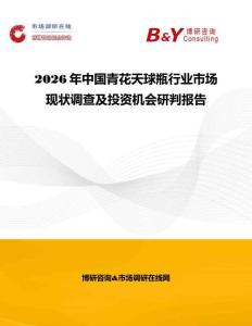 2026年中國青花天球瓶行業市場現狀調查及投資機會研判報告