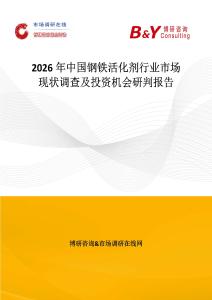 2026年中國鋼鐵活化劑行業市場現狀調查及投資機會研判報告