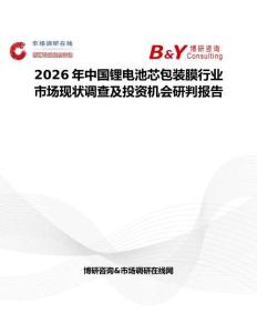 2026年中國(guó)鋰電池芯包裝膜行業(yè)市場(chǎng)現(xiàn)狀調(diào)查及投資機(jī)會(huì)研判報(bào)告