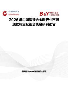 2026年中國(guó)鋰硅合金粉行業(yè)市場(chǎng)現(xiàn)狀調(diào)查及投資機(jī)會(huì)研判報(bào)告