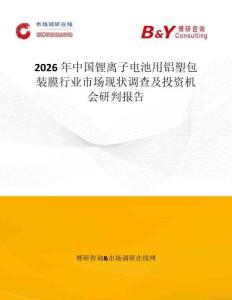 2026年中國(guó)鋰離子電池用鋁塑包裝膜行業(yè)市場(chǎng)現(xiàn)狀調(diào)查及投資機(jī)會(huì)研判報(bào)告