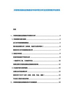 冷鏈物流基礎(chǔ)設(shè)施建設(shè)市場供需分析及投資回報評估報告