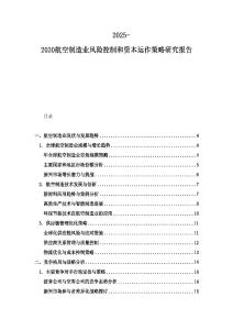 2025-2030航空制造業(yè)風(fēng)險控制和資本運作策略研究報告