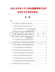 2026及未來5年三維電腦腰椎牽引治療儀項目可行性研究報告