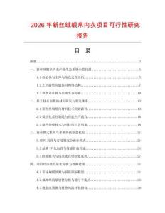 2026年新絲絨緞帛內衣項目可行性研究報告