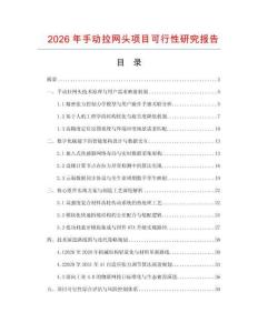 2026年手動拉網頭項目可行性研究報告