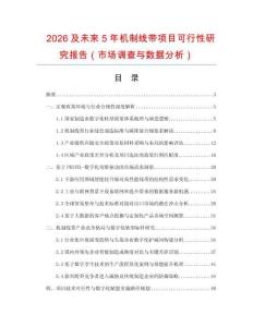 2026及未來5年機制線帶項目可行性研究報告（市場調查與數據分析）