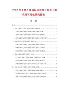 2026及未來5年國際標(biāo)準(zhǔn)專業(yè)型卡丁車項(xiàng)目可行性研究報(bào)告