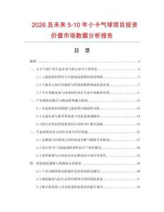 2026及未來5-10年小卡氣球項目投資價值市場數據分析報告