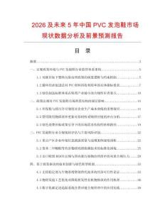 2026及未來5年中國PVC發泡鞋市場現狀數據分析及前景預測報告