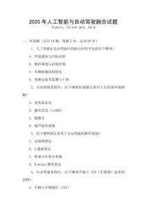 2025年人工智能與自動(dòng)駕駛?cè)诤显囶}